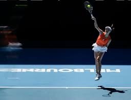 什么是牛牛中的“五金牛”？解析全花色大牌背后的数学概率。（揭秘牛牛“五金牛”：全花色大牌的概率与数学原理）